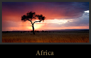 Africa