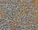 Fresh autumn snows Keebler Pass, Colorado