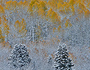 Fresh autumn snows Keebler Pass, Colorado