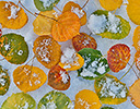 Aspen Leaves on Fresh Autumn snow, Keebler Pass, CO.