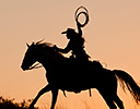 Fall Cowboy Horse Drive, Shell Wyoming and the Hideout Ranch