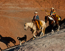 Fall Cowboy Horse Drive, Shell Wyoming and the Hideout Ranch