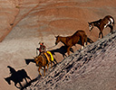 Fall Cowboy Horse Drive, Shell Wyoming and the Hideout Ranch