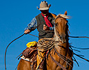 Fall Cowboy Horse Drive, Shell Wyoming and the Hideout Ranch