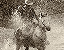 Fall Cowboy Horse Drive, Shell Wyoming and the Hideout Ranch