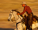 Fall Cowboy Horse Drive, Shell Wyoming and the Hideout Ranch