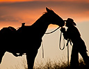 Fall Cowboy Horse Drive, Shell Wyoming and the Hideout Ranch