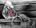 Fall Cowboy Horse Drive, Shell Wyoming and the Hideout Ranch