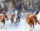 Winter Horse Drive Hideout Ranch, Shell WY.
