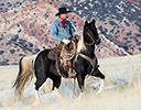 Winter Horse Drive Hideout Ranch, Shell WY.