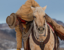 Winter Horse Drive Hideout Ranch, Shell WY.
