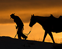 Winter Horse Drive Hideout Ranch, Shell WY.