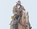 Winter Horse Drive Hideout Ranch, Shell WY.