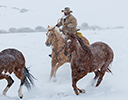 Winter Horse Drive Hideout Ranch, Shell WY.