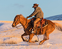 Winter Horse Drive Hideout Ranch, Shell WY.