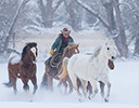 Winter Horse Drive Hideout Ranch, Shell WY.