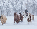 Winter Horse Drive Hideout Ranch, Shell WY.