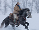 Winter Horse Drive Hideout Ranch, Shell WY.