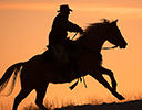 Winter Horse Drive Hideout Ranch, Shell WY.