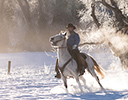 Winter Horse Drive Hideout Ranch, Shell WY.