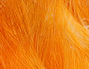Guianan Cock of the Rock Feather Design