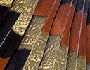 Sun Bittern feather design