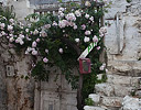 Old Doorway Old Town Chania, Crete Greek Isles