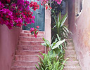 Twin stairways old town Chania, Crete Greek Isles