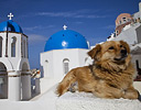 Oia and Blue Church Dome Greek Island of Santorini