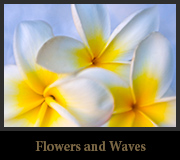 Flowers and Waves