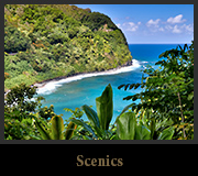 Scenics