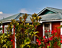 Living in Up Country Maui, Hawaii
