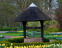 Gardens of Keukenhof, Netherlands