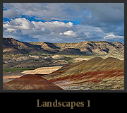 Landscapes 1