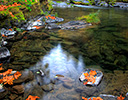 Fall near Steamboat Creek, Central Oregon Cascades