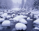 Fresh Snow Fall Denny Creek, Washington Cascades
