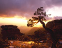 Windy Point and Juniper Sunset out of Tucson AZ.