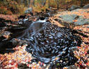 Small Stream along the Maine Coastline Autumn Time