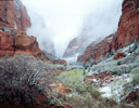 Kolab Canyon Sprintime Snows Zion N.P., Utah