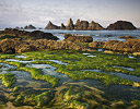 Low tide Seal Beach State Park, Oregon