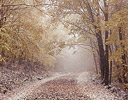 Autumn Snows on Burke Mountain, Vermont