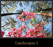 Landscapes 2