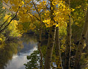 June Lake and Aspen Autumn time Eastern Sierras California
