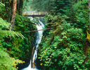 Sol Duc Falls, Olympic NP. WA