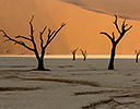 Sand Dunes Sossusvlei Namib Desert, Namibia