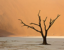 Sand Dunes Sossusvlei Namib Desert, Namibia