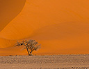 Sand Dunes Sossusvlei Namib Desert, Namibia