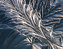 Frost pattern on window