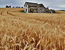 Old Abandoned House, Palouse Eastern Washington