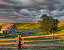 Barns of the Palouse, Eastern Washington